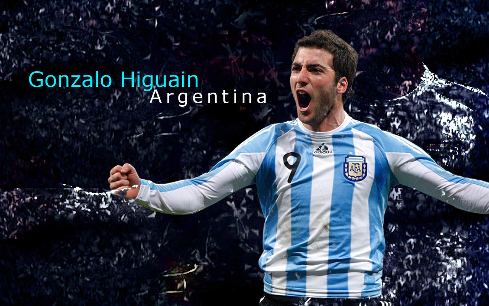 球场的裂隙,当戴维斯杯吞没蒙特卡洛的星光